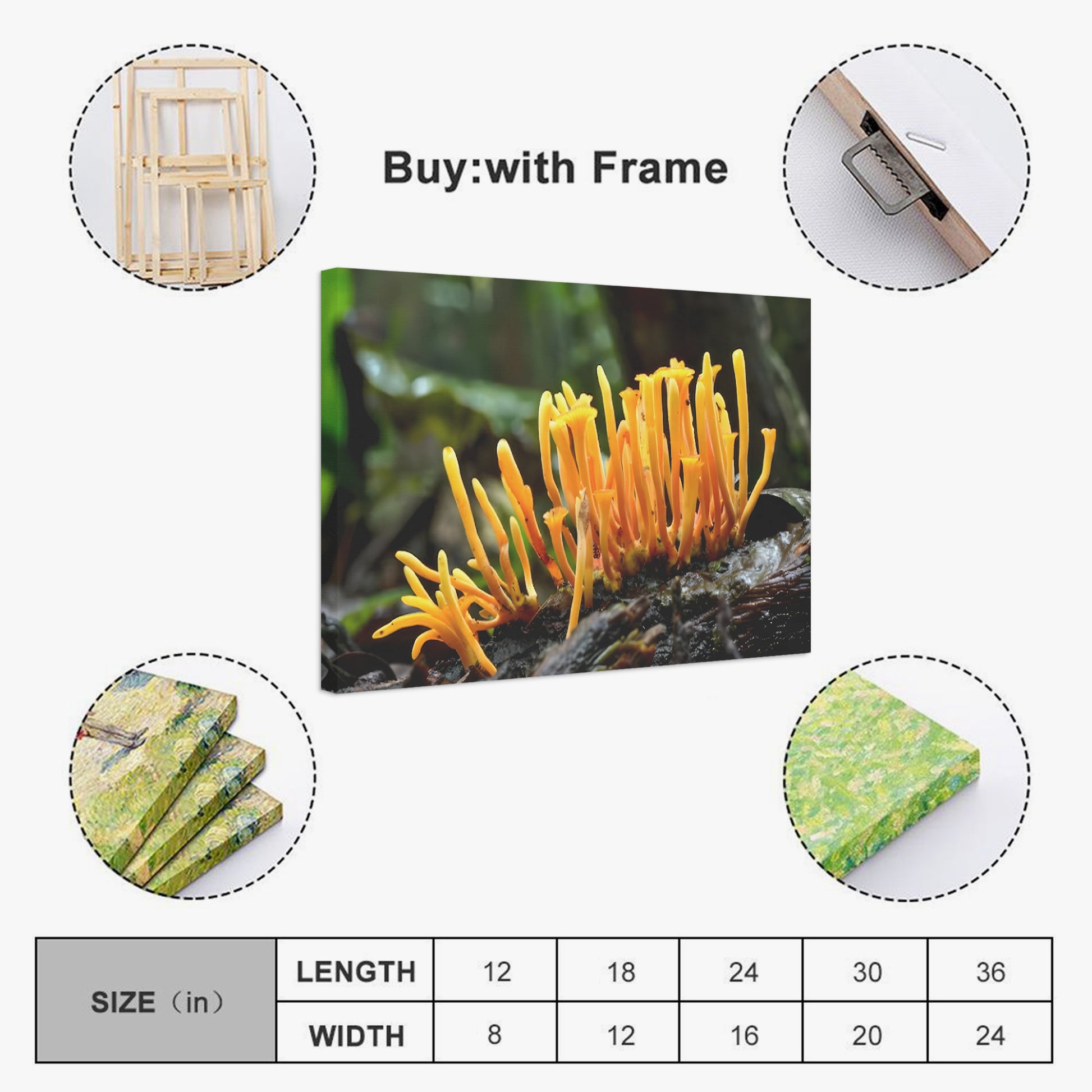 Cordyceps Wall Art, Mushroom art, Fungi Art