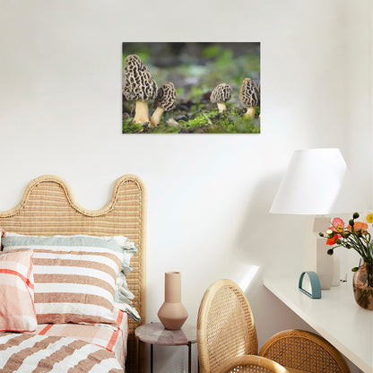 Morel Mushroom Wall Art, Fungi Art